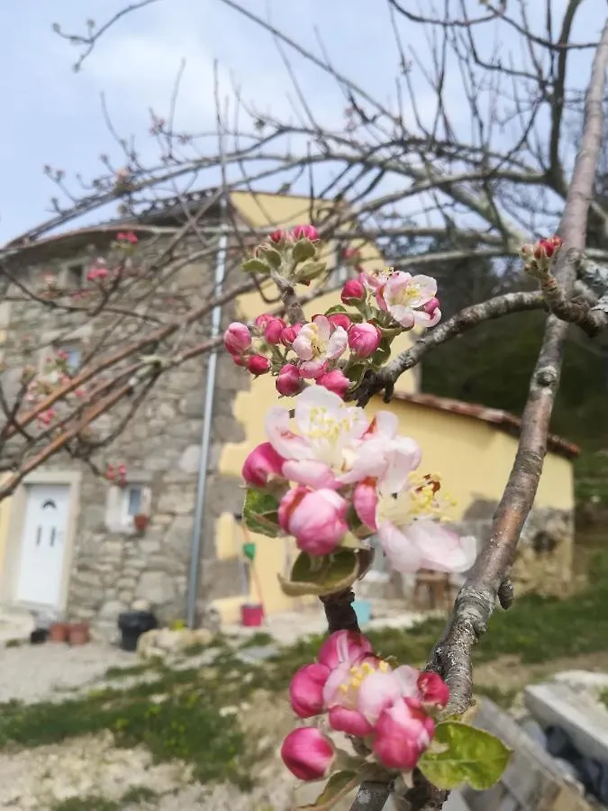 Skalameri Kozljak 招待所